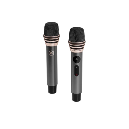 Loa Di Động Retro Alpha Works W99 (kèm 2 Micro) — ảnh 8