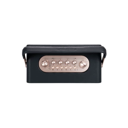 Loa Di Động Retro Alpha Works W99 (kèm 2 Micro) — ảnh 7