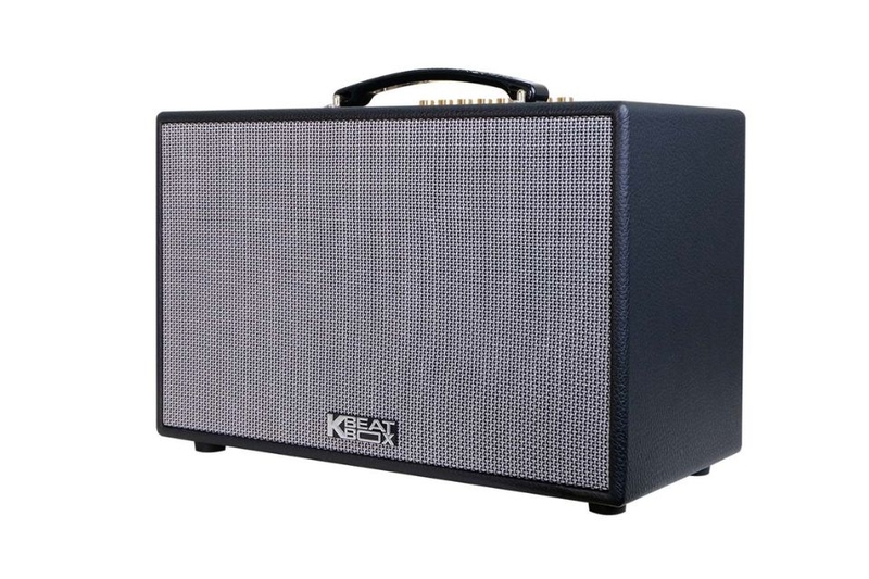 loa-bluetooth-karaoke-acnos-cs201pu-2.jpg